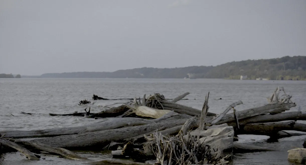 Smallpox Island