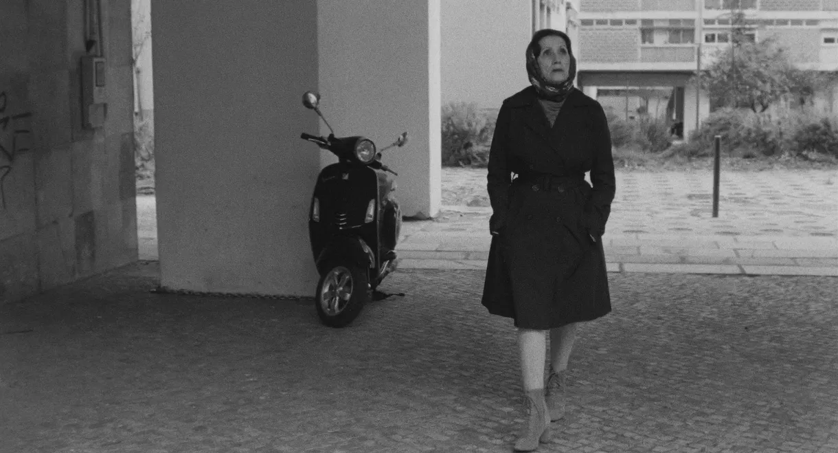 Where Is This Street? or With No Before or After