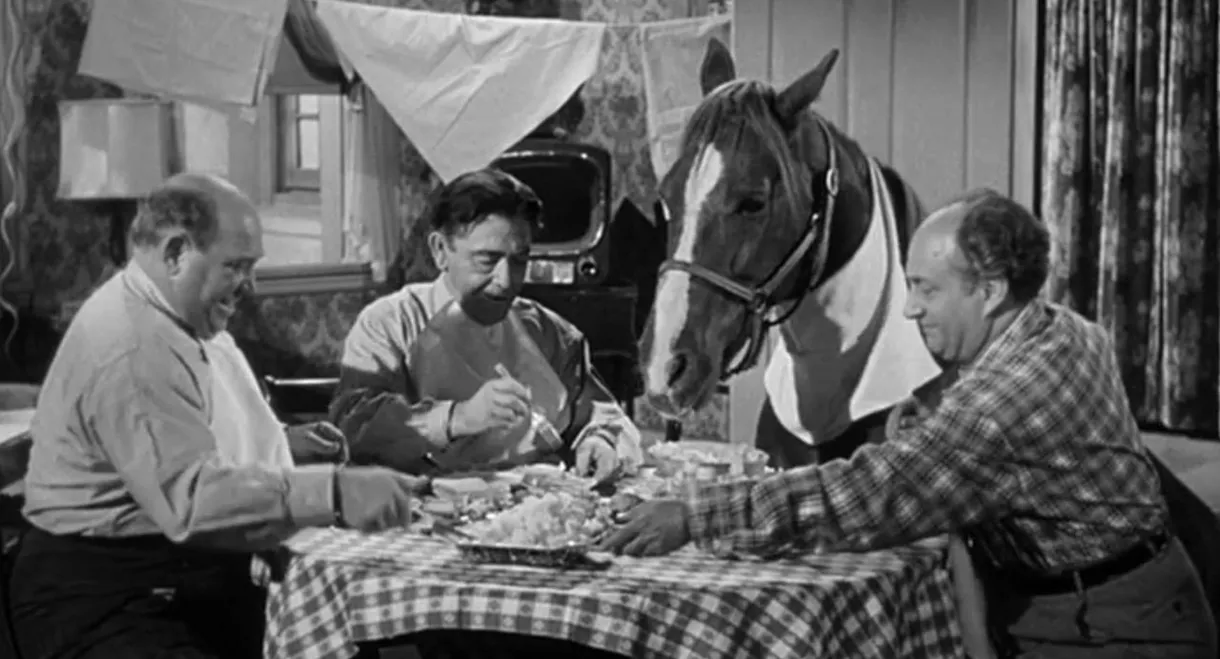 Horsing Around