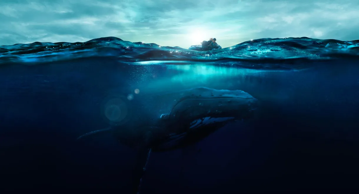 Fathom