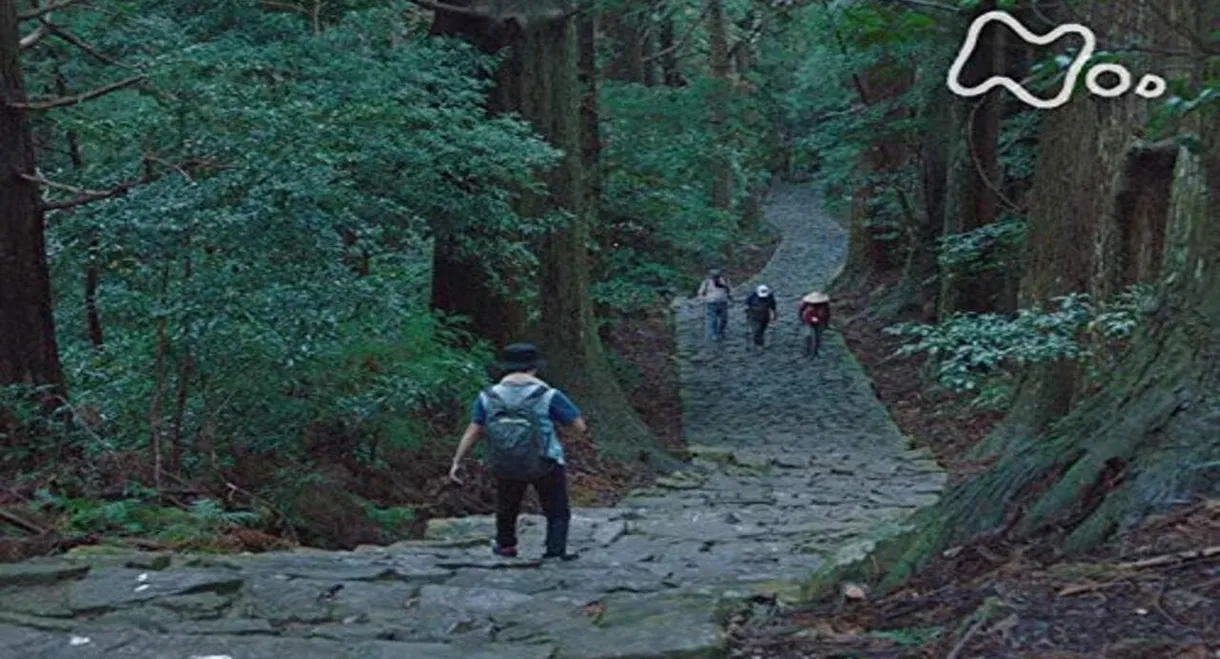 熊野古道　神秘の旅