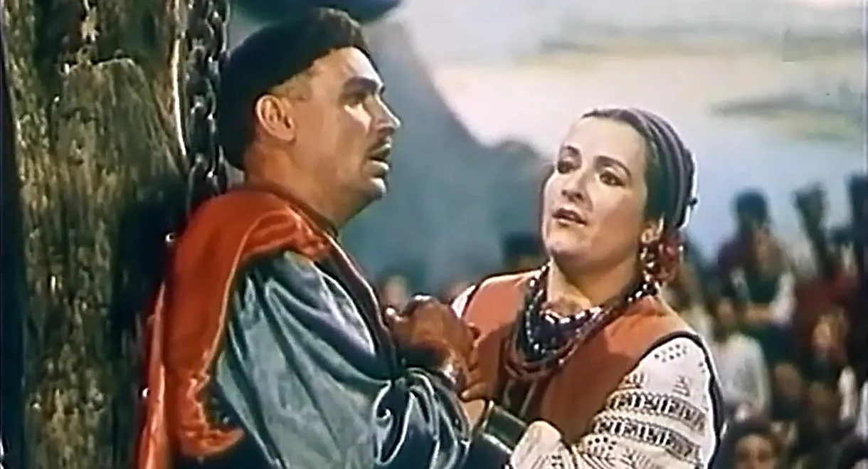 A Cossack Beyond the Danube