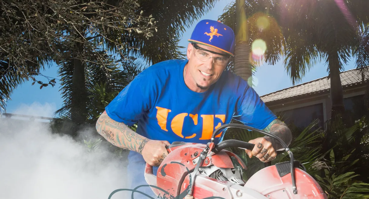 The Vanilla Ice Project