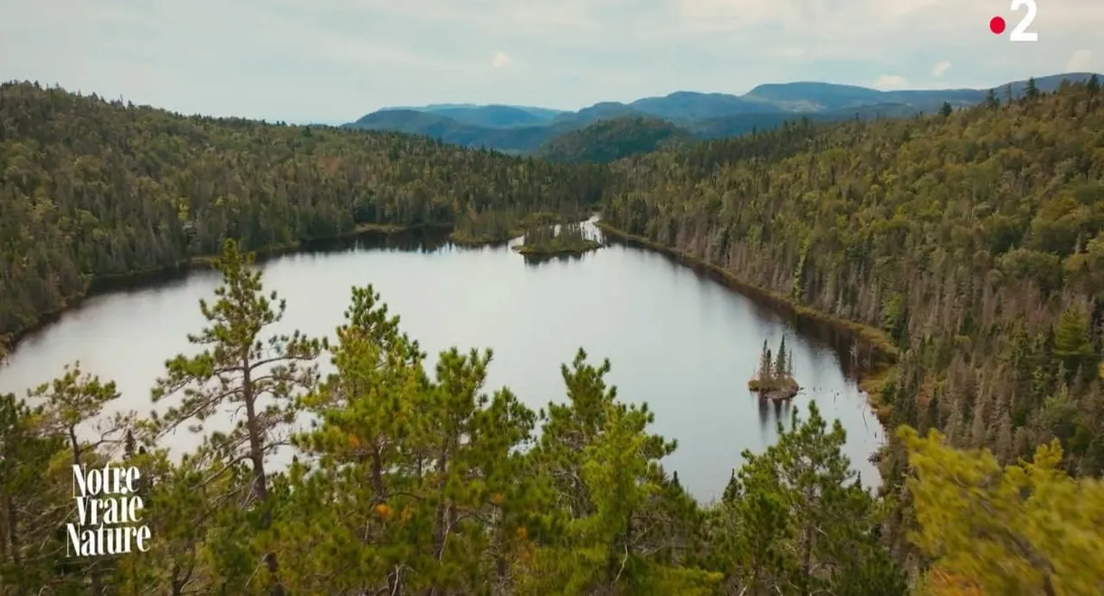 Notre vraie nature