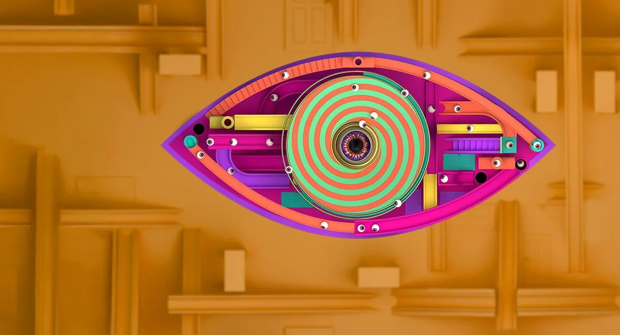 Big Brother: Live Stream