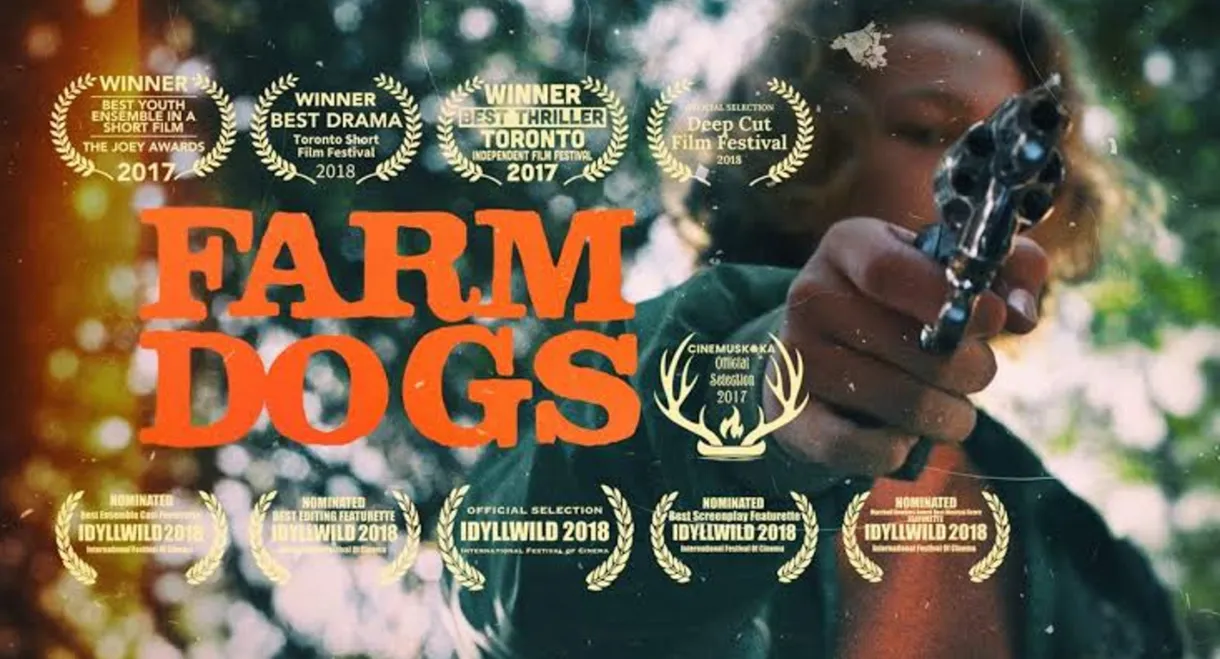 Farm Dogs