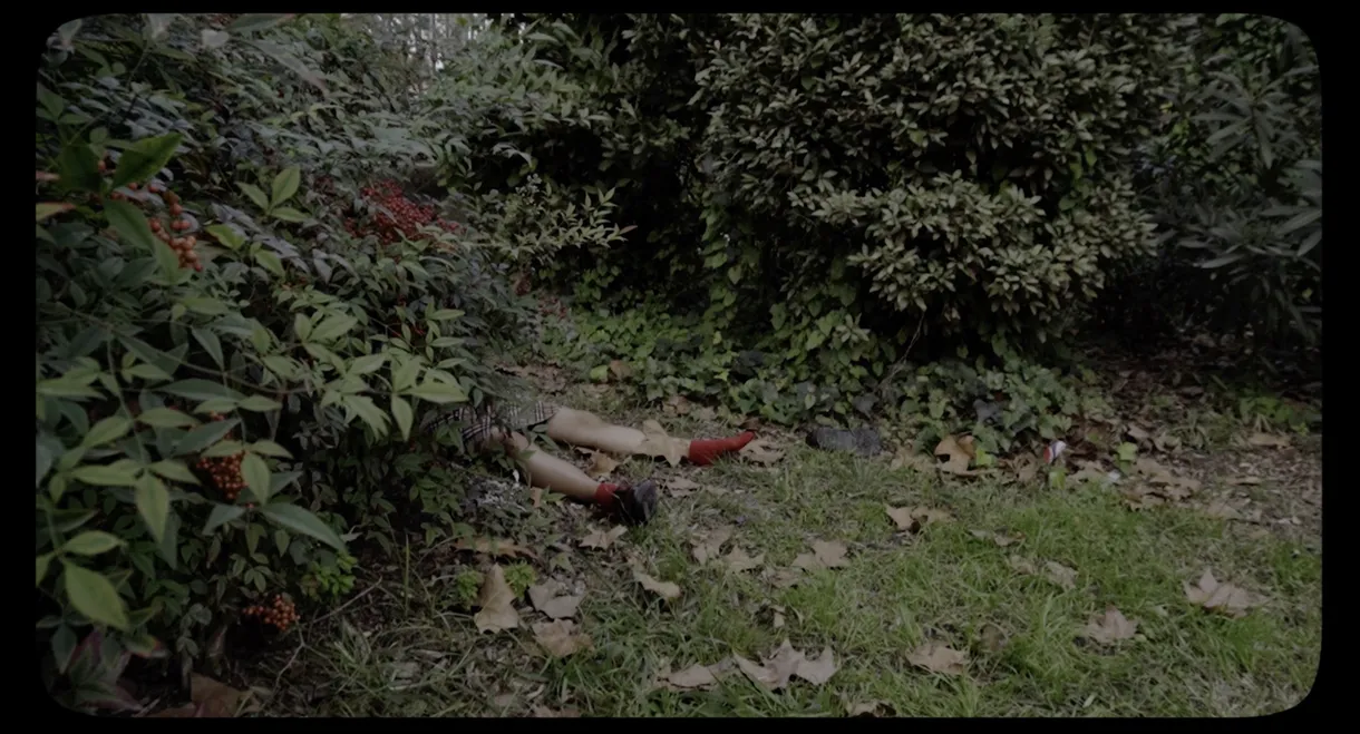 Bodies of Mary