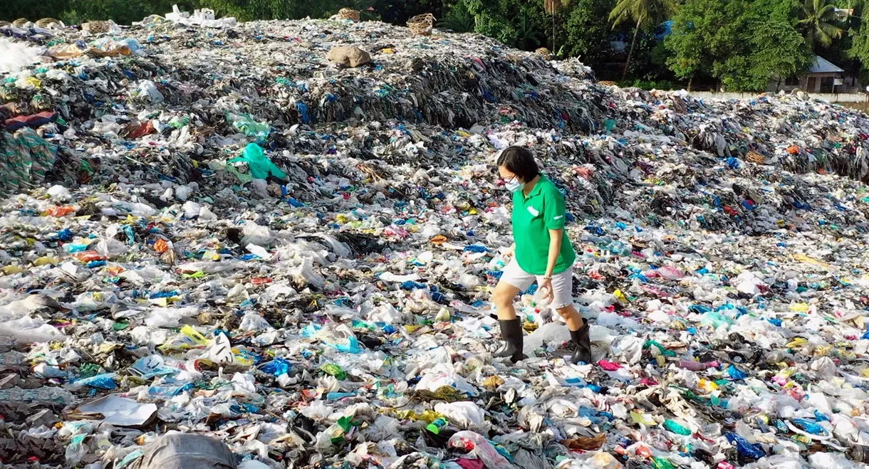 Coca-Cola und das Plastikproblem: Ein Konzern in der Kritik