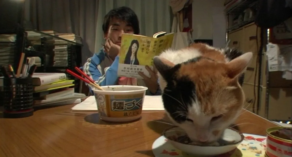 Cat and Goldfish Love Story