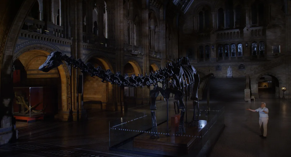 David Attenborough's Natural History Museum Alive