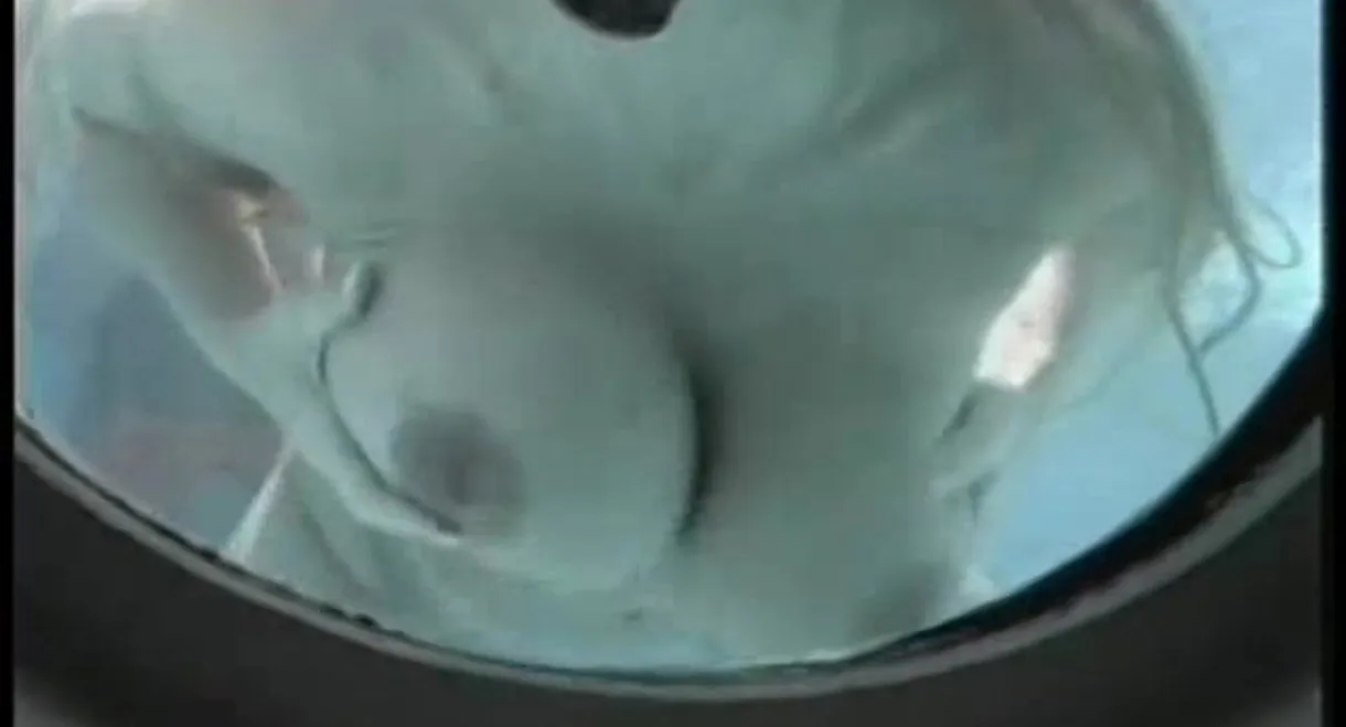 Ben Dover Does the Boob Cruise