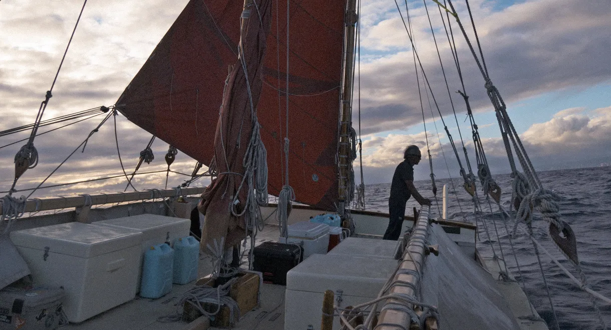 The Navigator