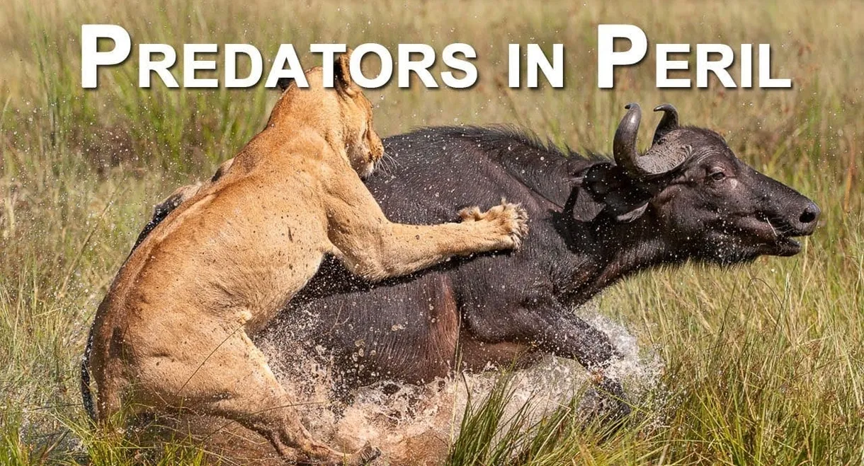 Predators in Peril