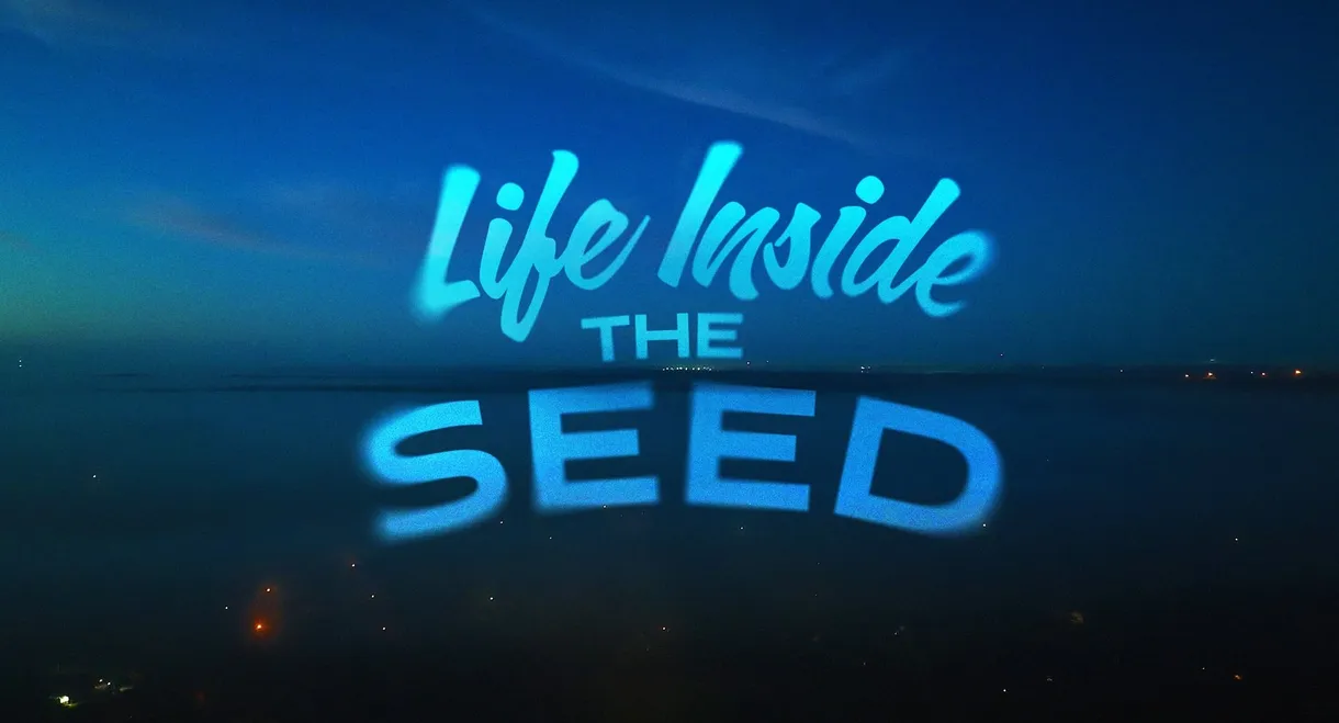 Life Inside the Seed