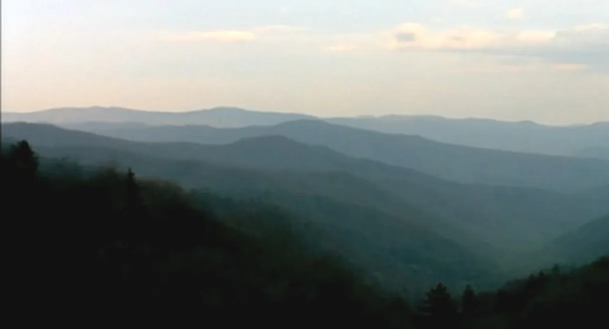 Bigfoot Witness