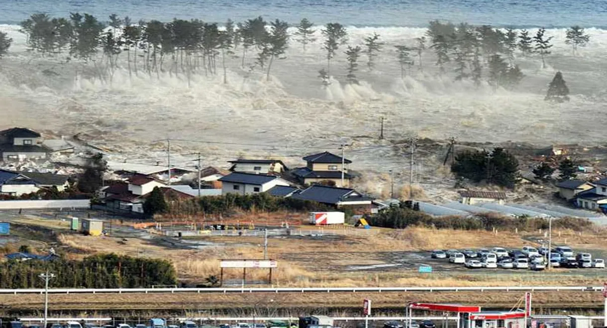 Witness: Disaster in Japan