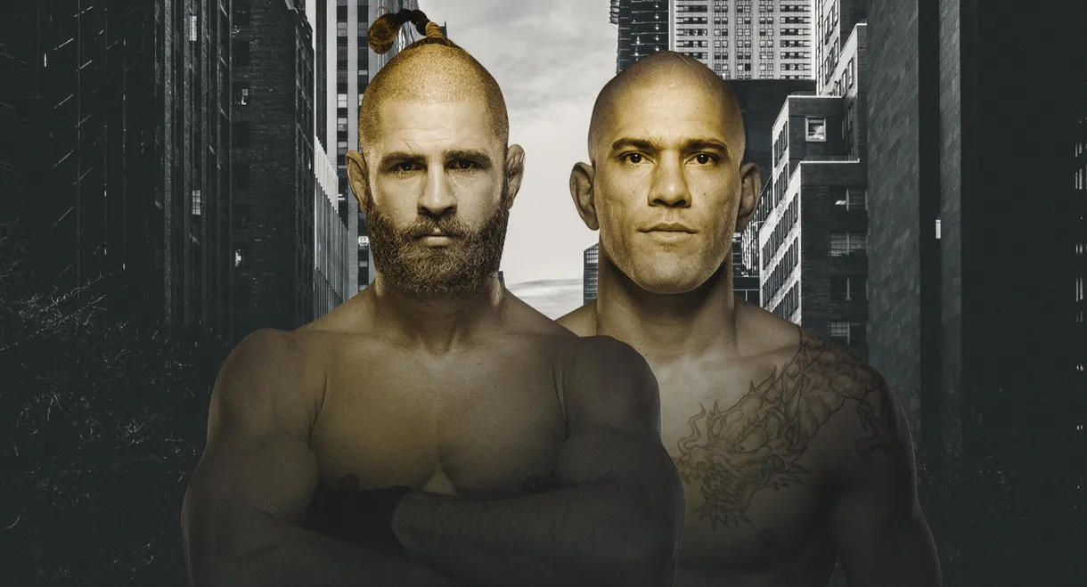 UFC 295: Prochazka vs. Pereira