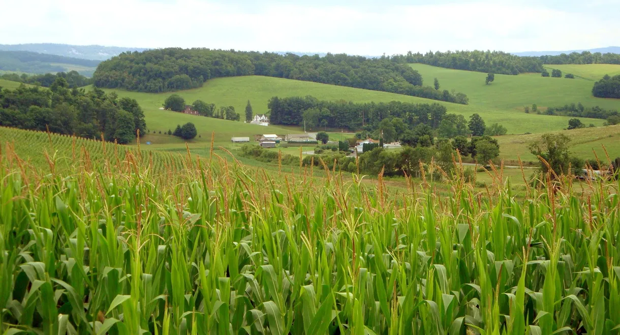 The World According to Monsanto