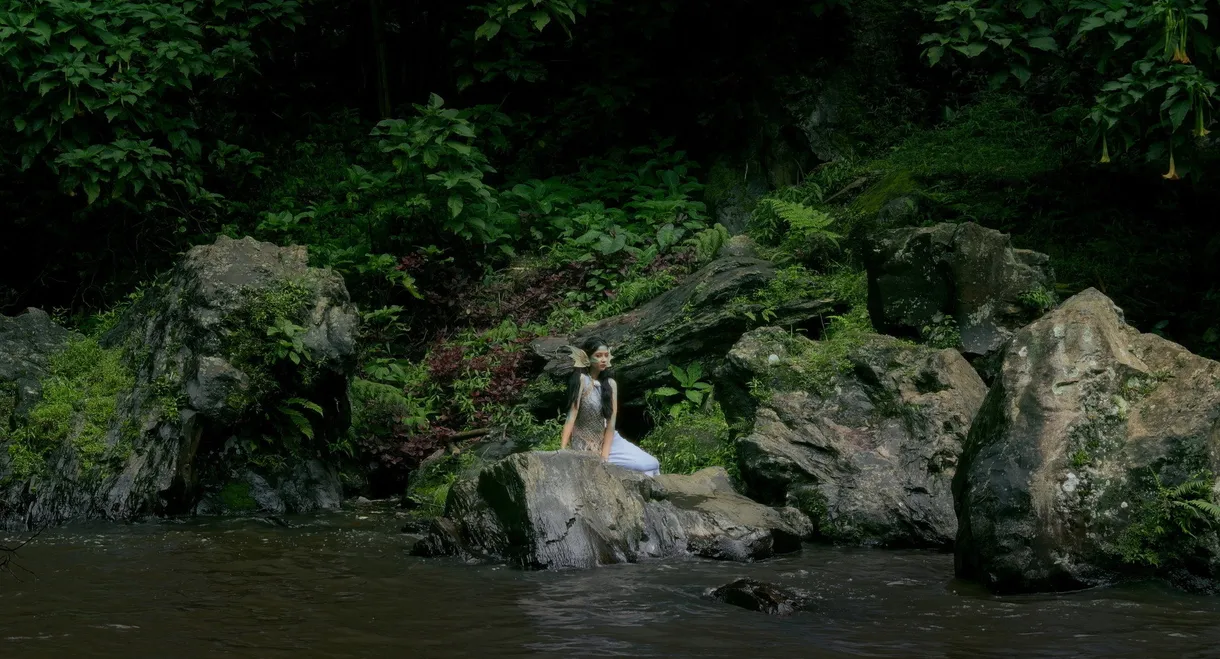 Upon the Pond