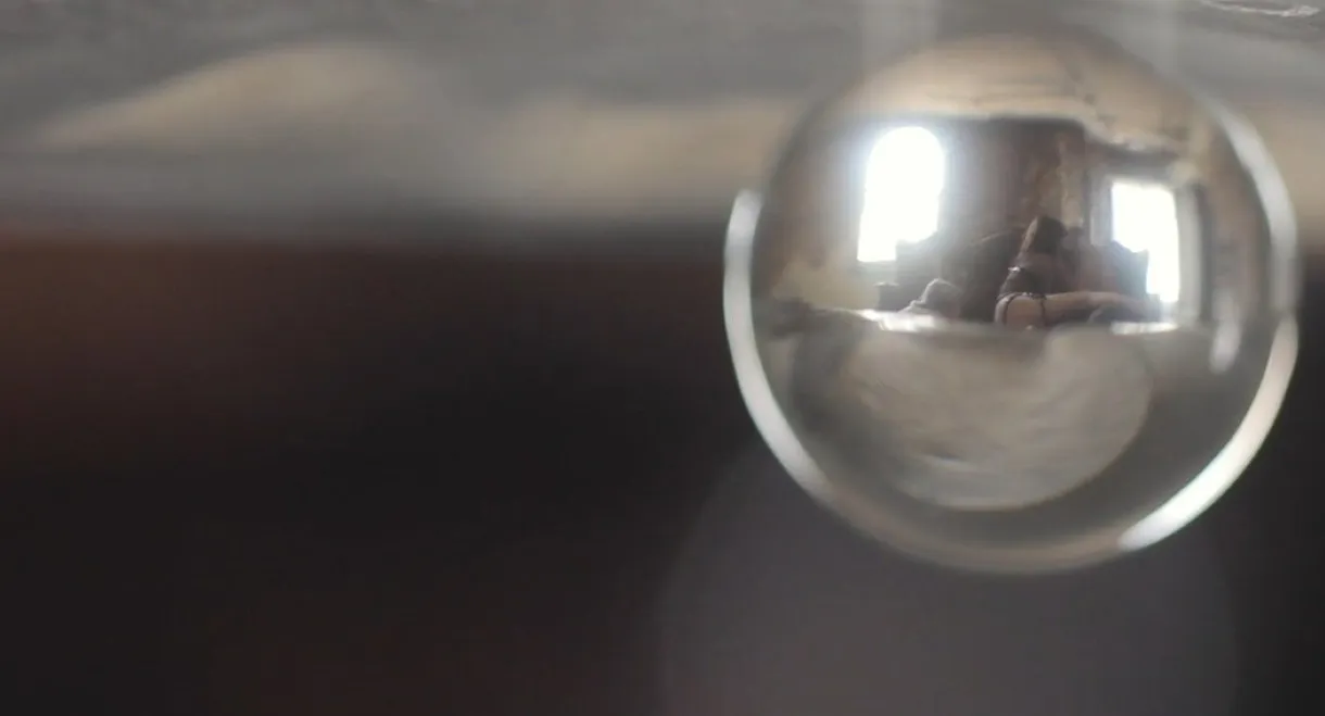 The Eye