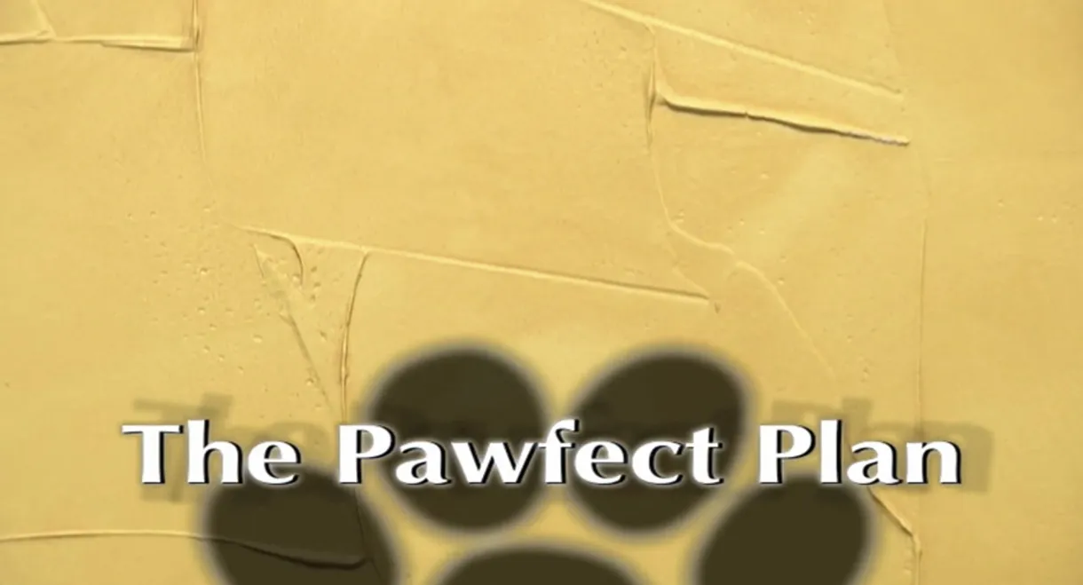 The Pawfect Plan
