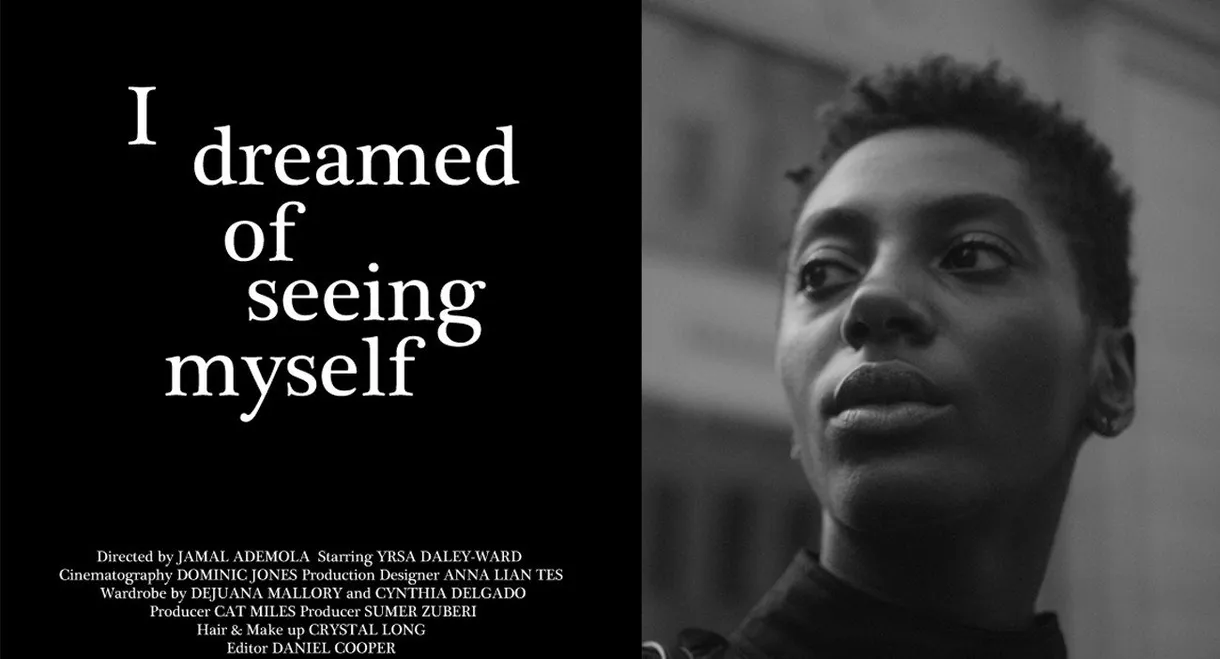 I Dreamed of Seeing Myself