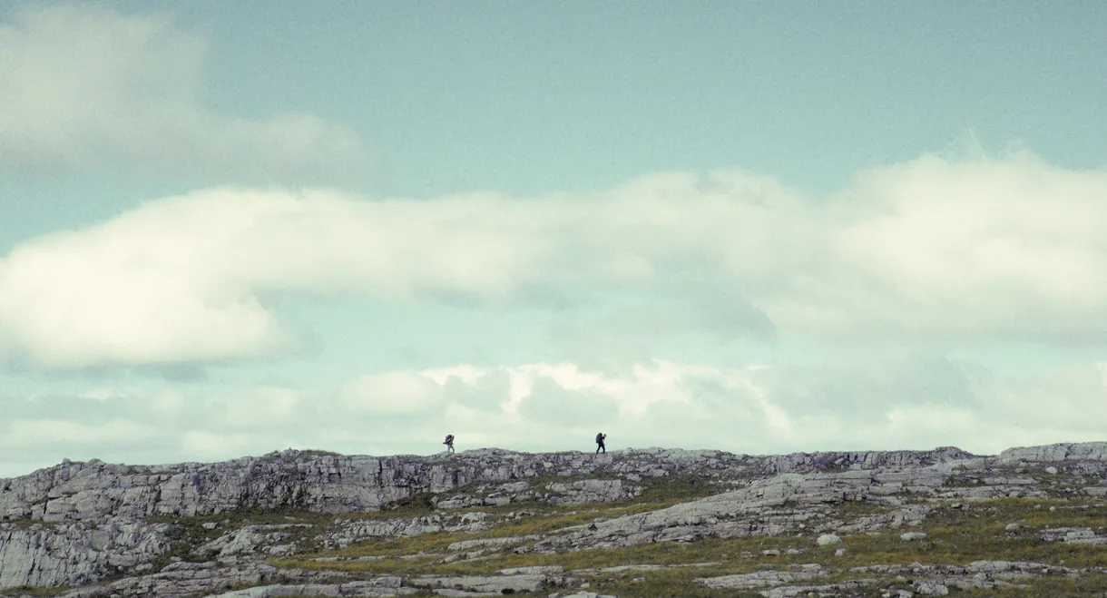 The North