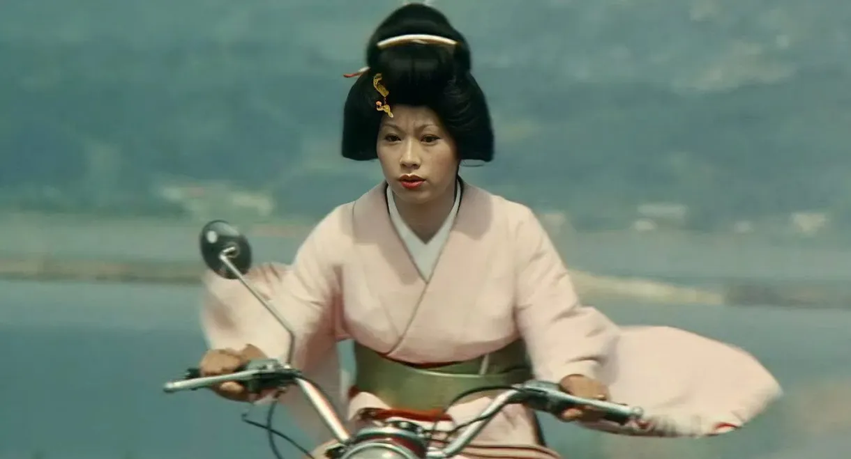 Turtle Geisha
