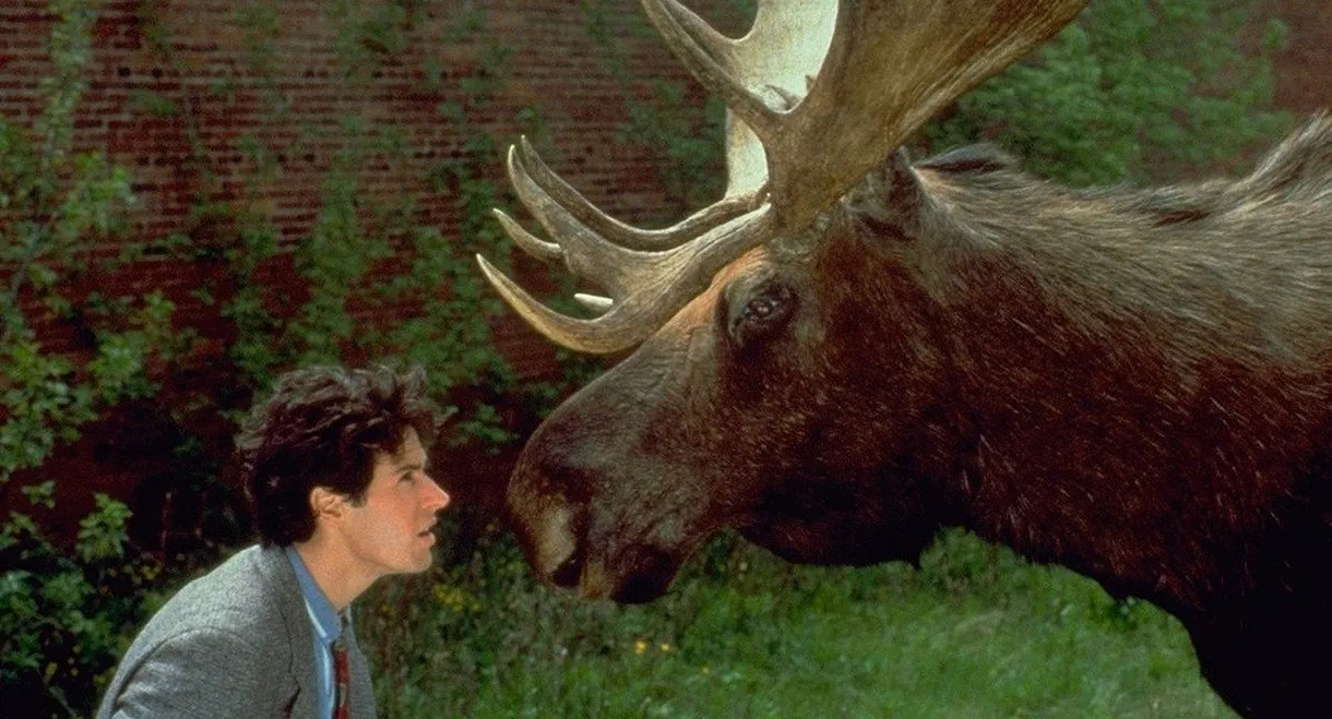 Northern Exposure