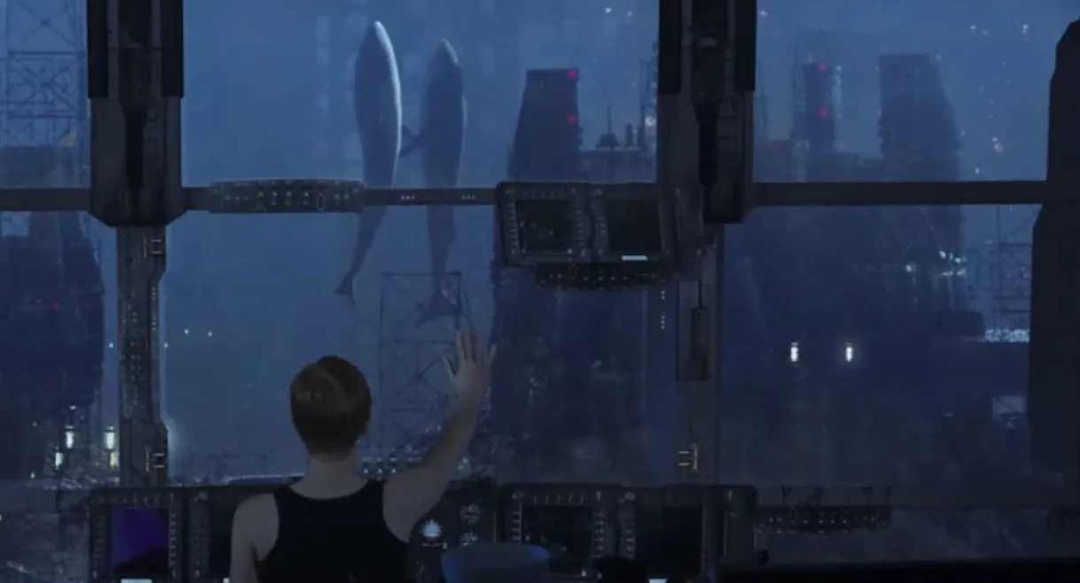 SOMA: Transmissions
