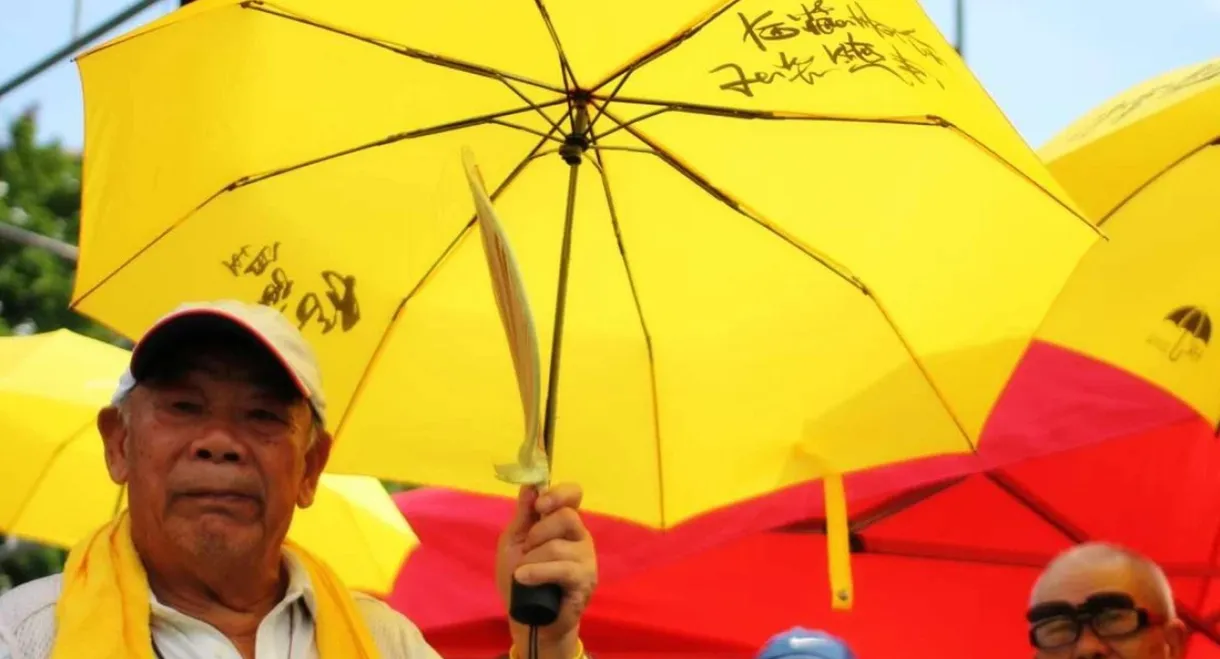 Raise The Umbrellas