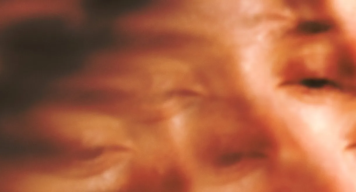 Son of Sauna