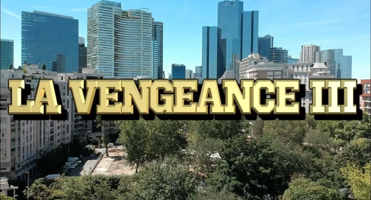 The Vengance 3