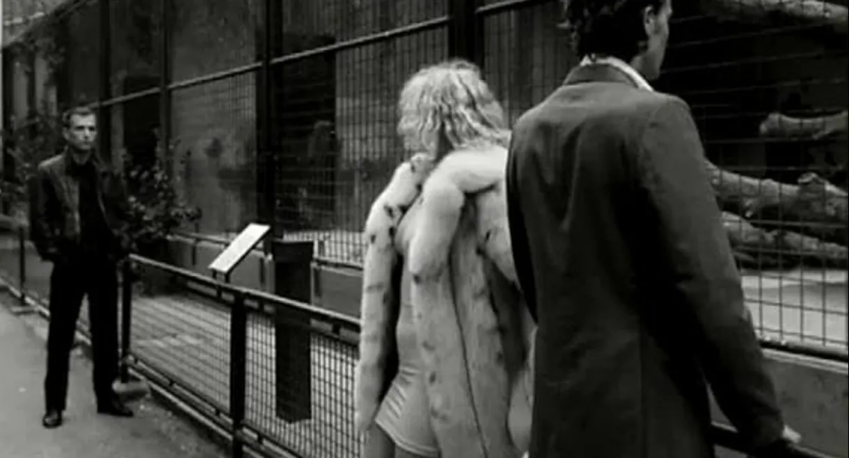 Venus in Furs