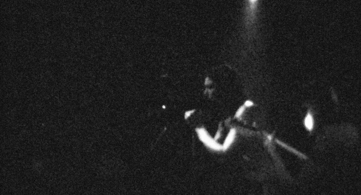 The Butthole Surfers Film