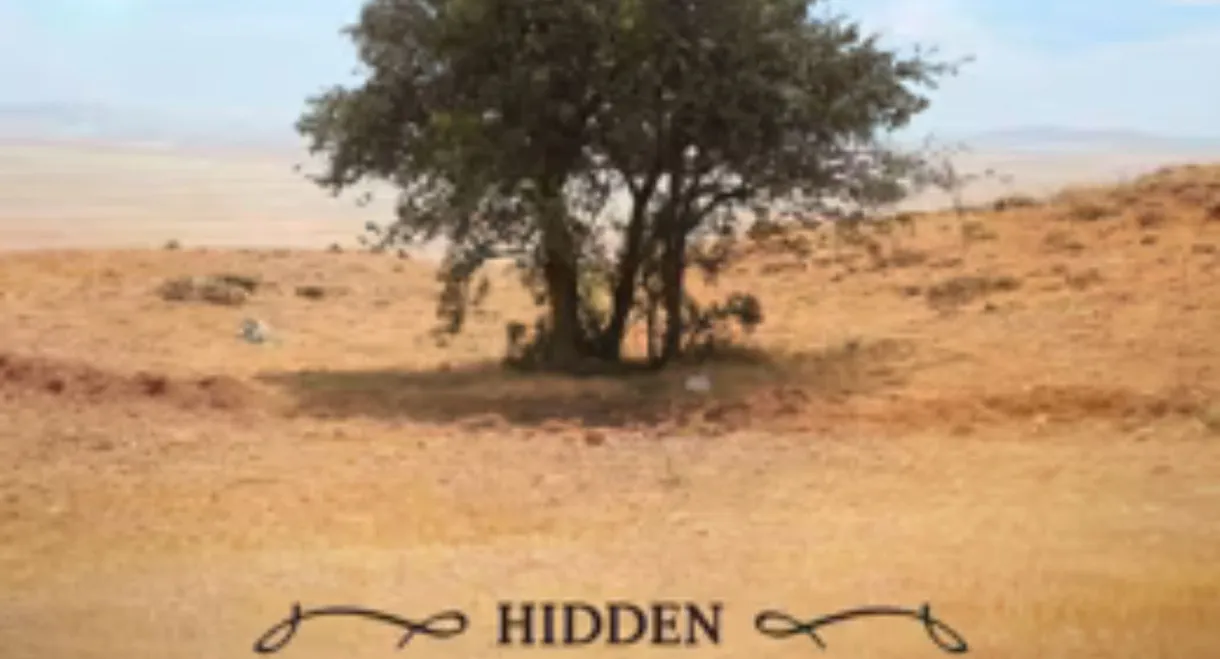 Hidden