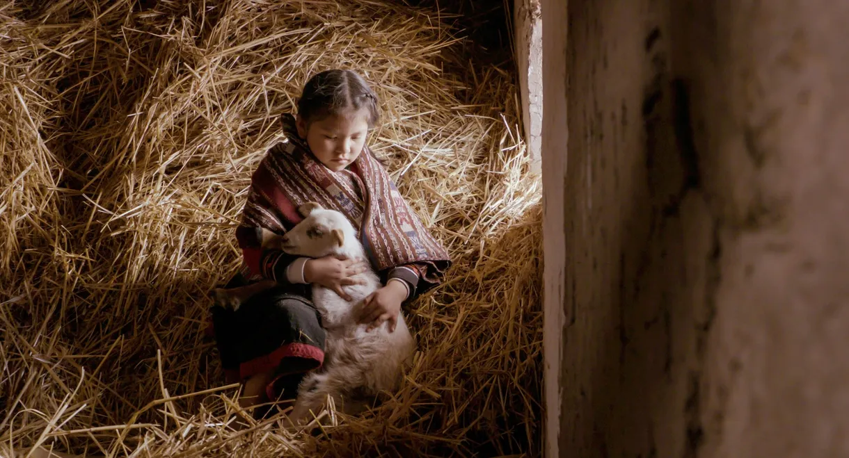 Mama Irene, Healer of the Andes