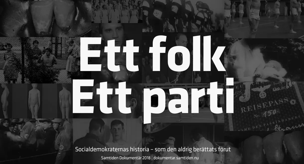 Ett folk, Ett parti