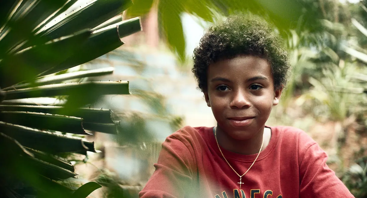 Small Country: An African Childhood