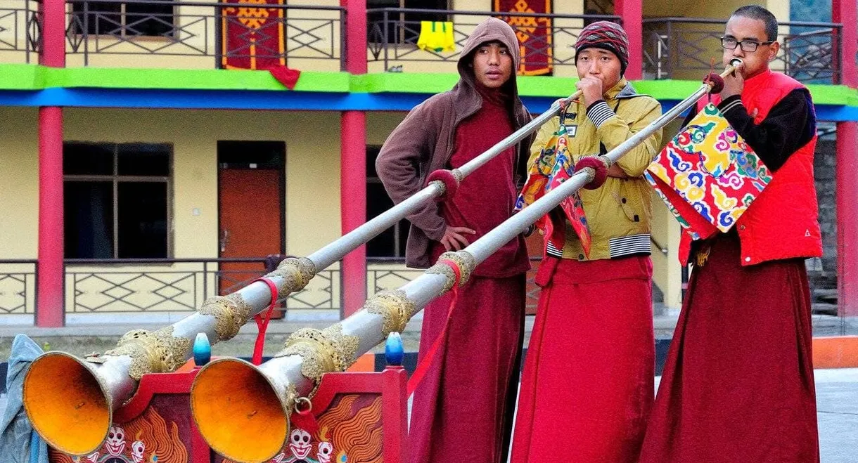 Tibet - Les nourritures terrestres