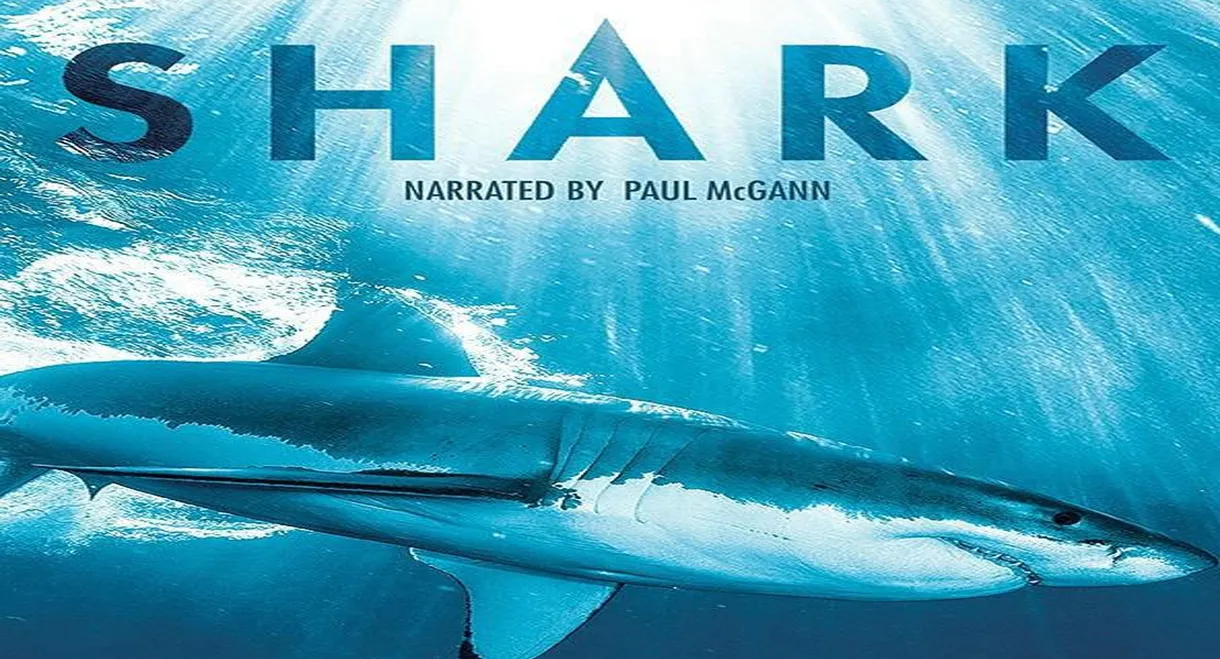 Shark