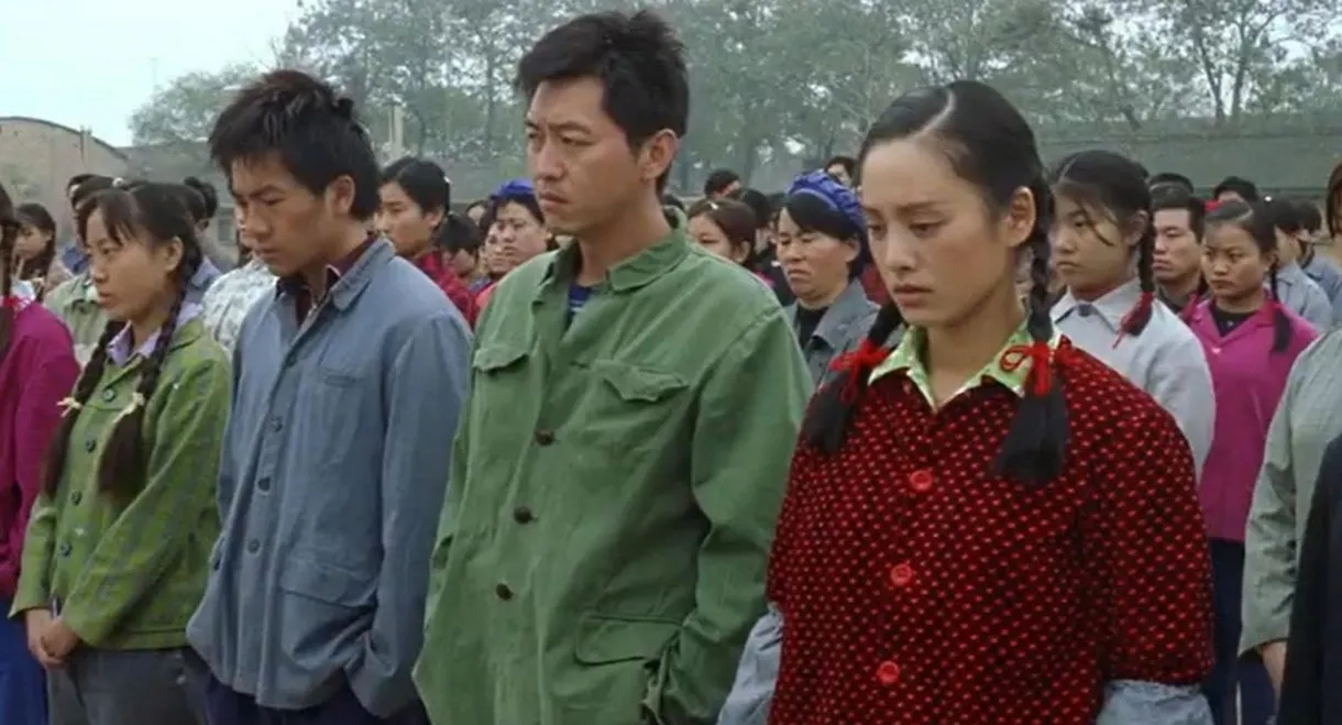 Cotton Fleece