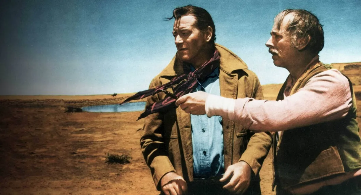 The Searchers