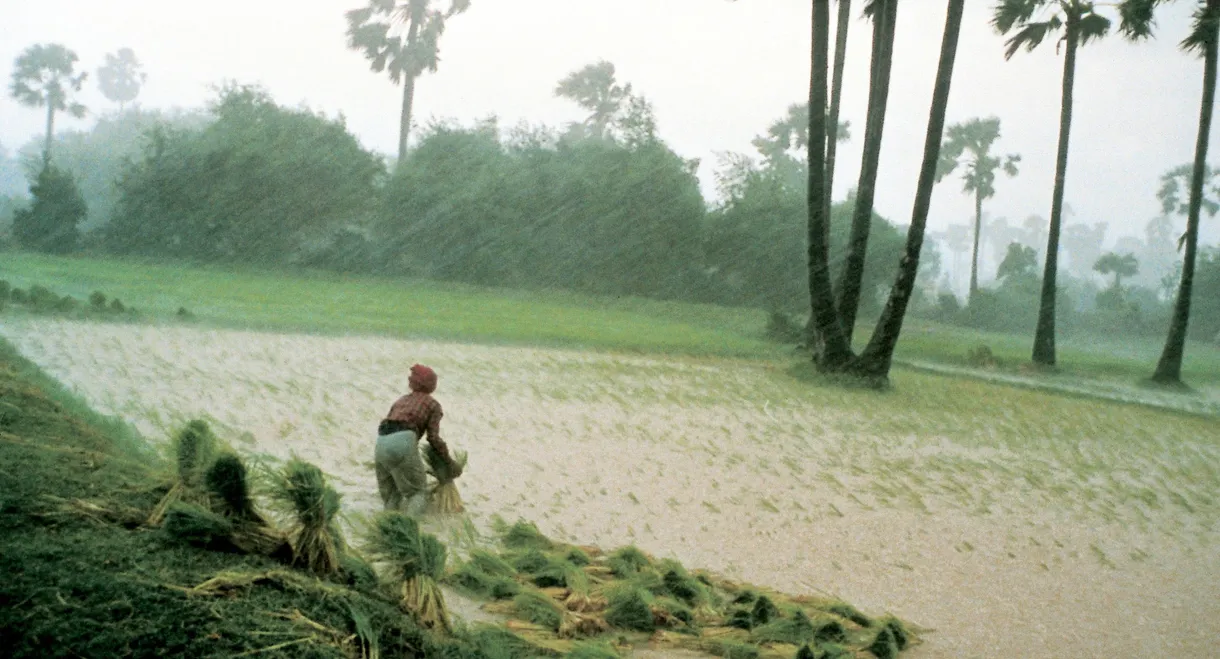 Rice People