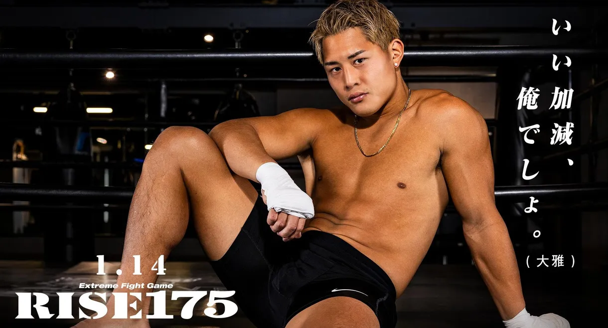 RISE 175