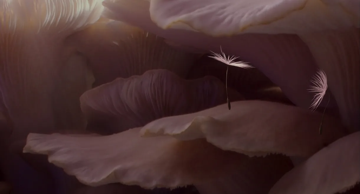 Dandelion's Odyssey