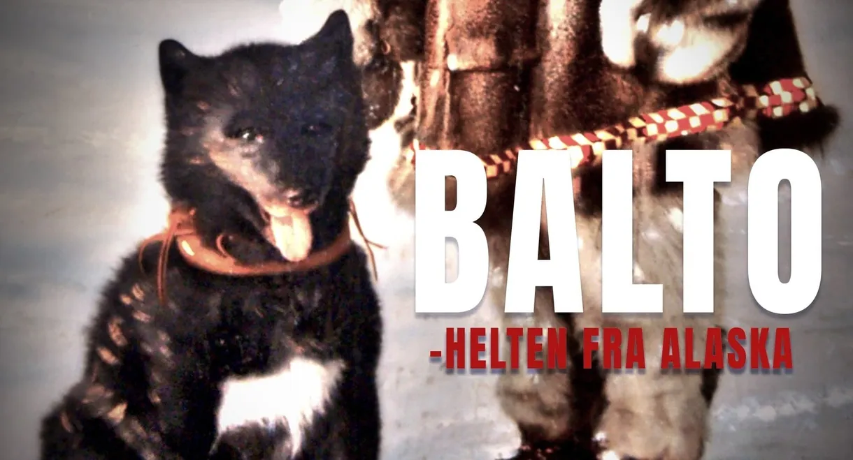 Balto - The Hero From Alaska