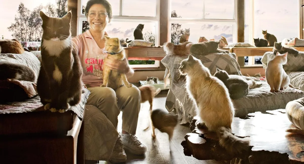 The Lady with 700 Cats