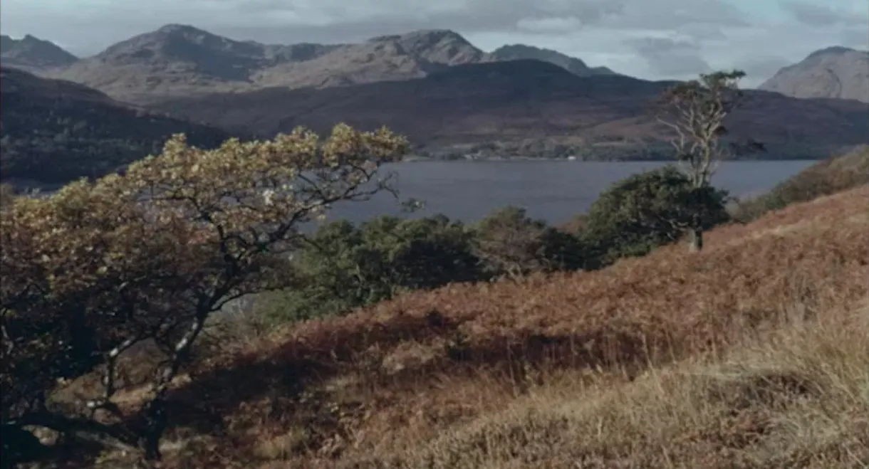 Loch Lomond