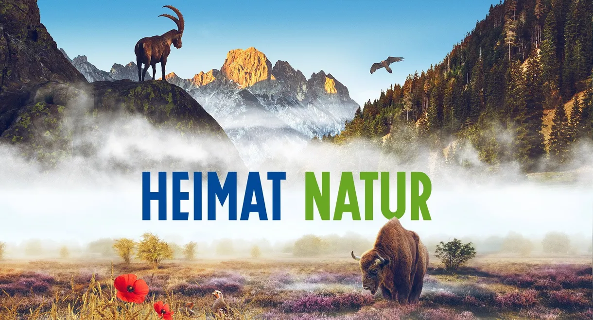 Homeland Nature